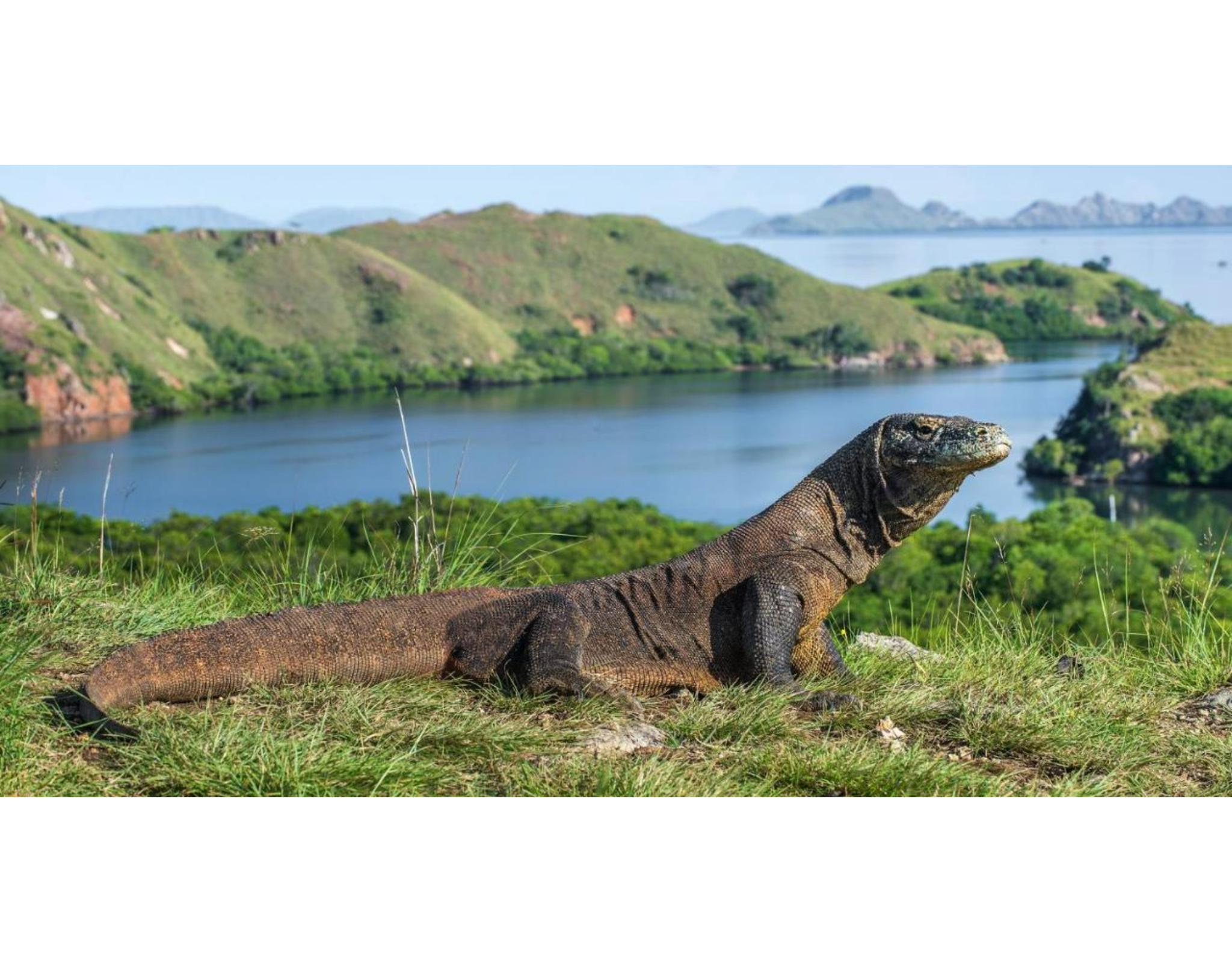 Meruorah Komodo Labuan Bajo Hotel Ngoại thất bức ảnh